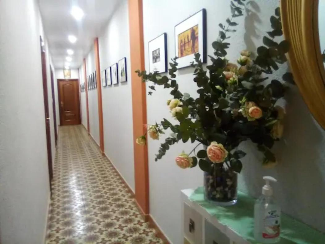 Las Golondrinas Zaragoza Saragoça Exterior foto